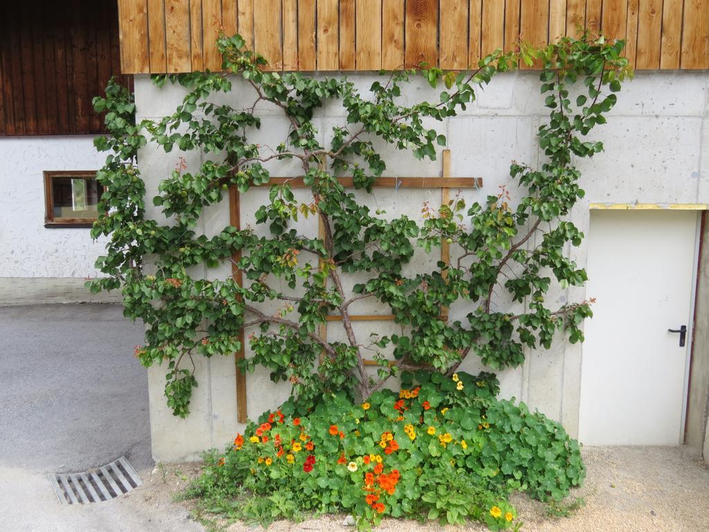 Landhaus Dorfer Grossarl Quarto foto